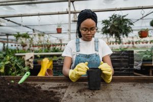 Breaking Through the Glass Ceiling: Strategies for Small Business Growth